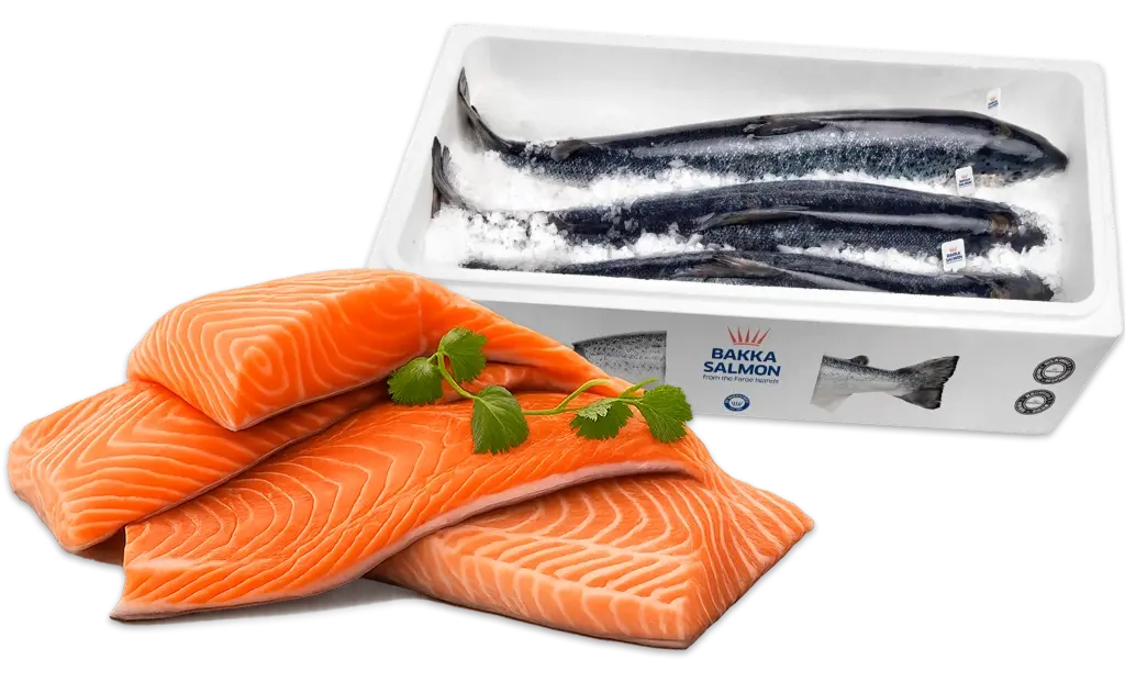 Fresh salmon fillets displayed alongside whole salmon in branded BAKKA, MOWI, and Cooke Aquaculture boxes.